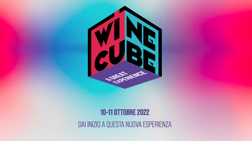 Wine Cube a Gret Experience - Partesa