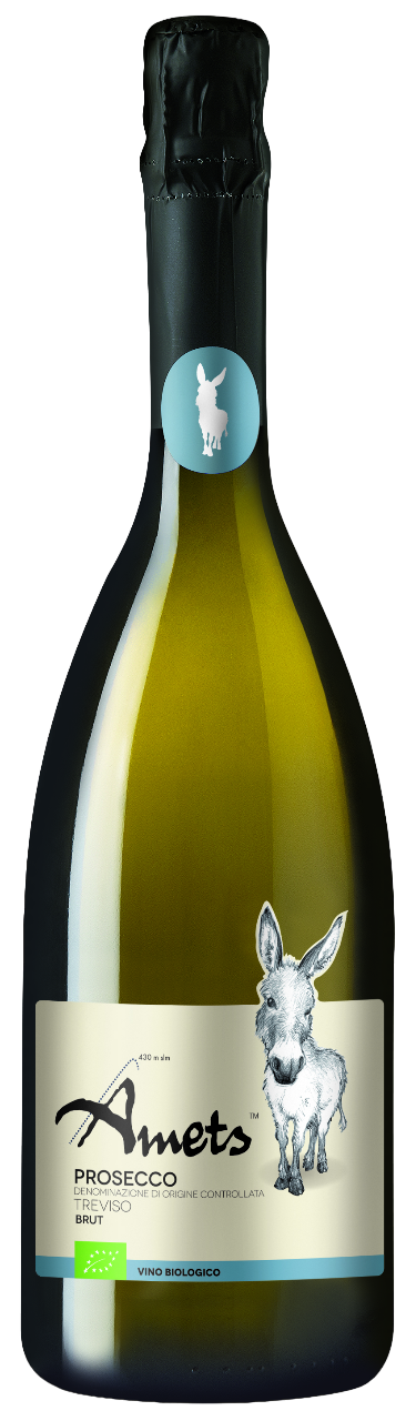 AMETS fronte BRUT-PhotoRoom.png-PhotoRoom AMETS fronte BRUT-PhotoRoom.png-PhotoRoom