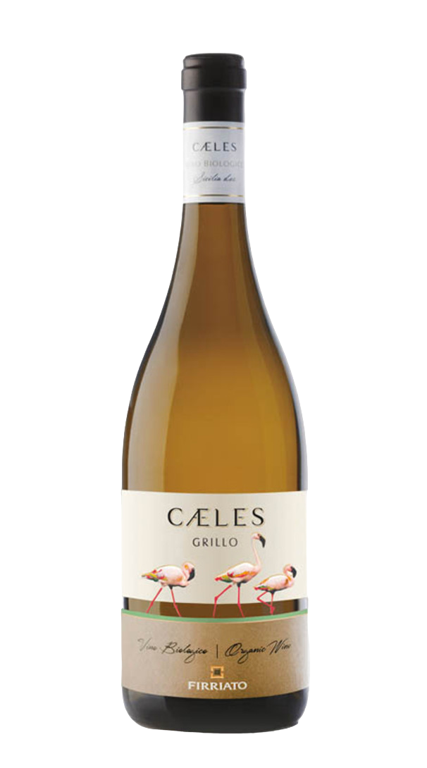grillo-caeles-firriato-2021_42531-PhotoRoom.png-PhotoRoom grillo-caeles-firriato-2021_42531-PhotoRoom.png-PhotoRoom