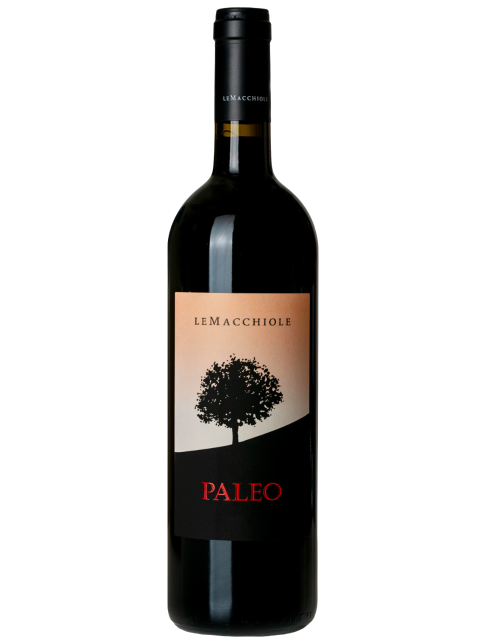 PALEO--PhotoRoom.png-PhotoRoom(1)