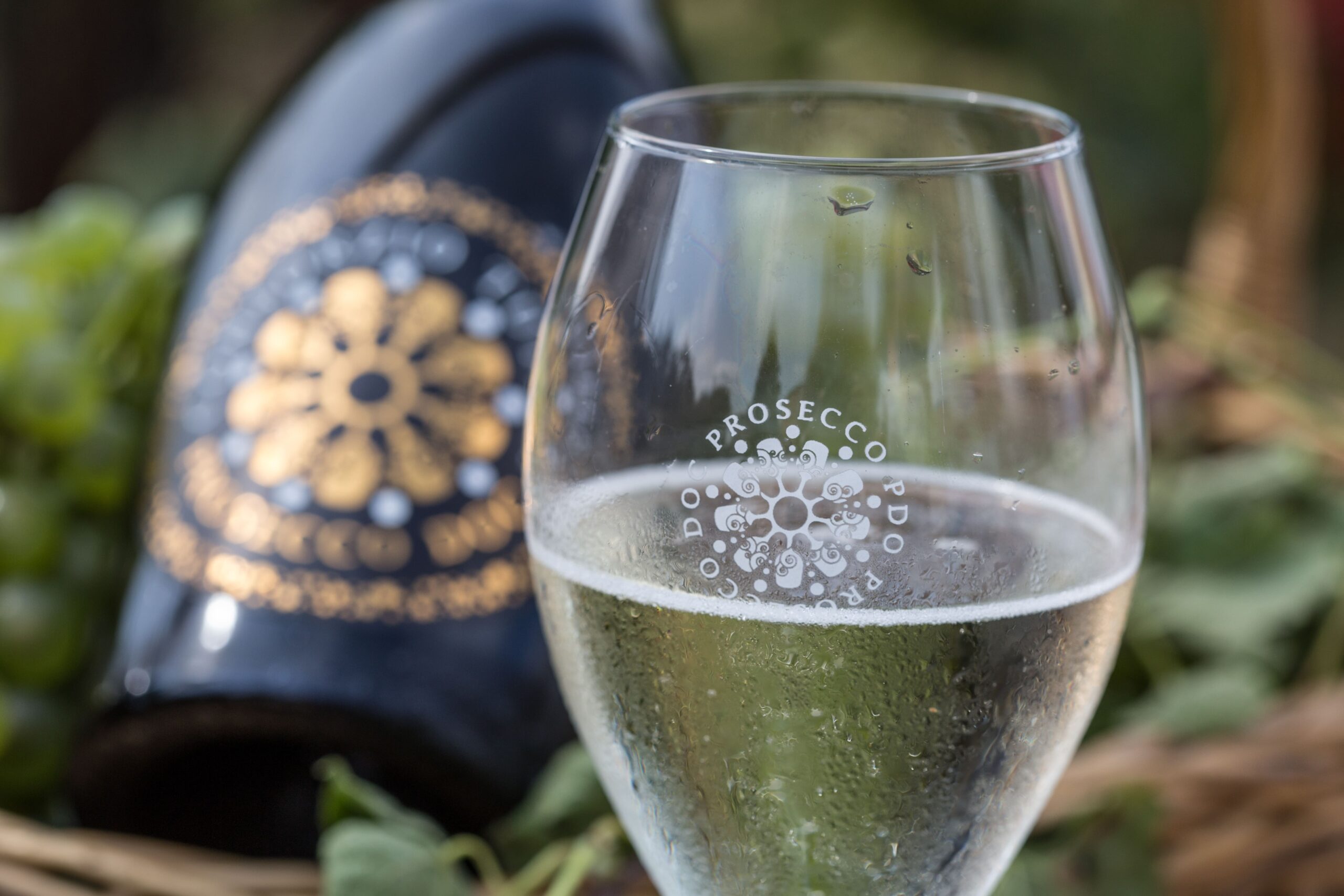 Prosecco Doc