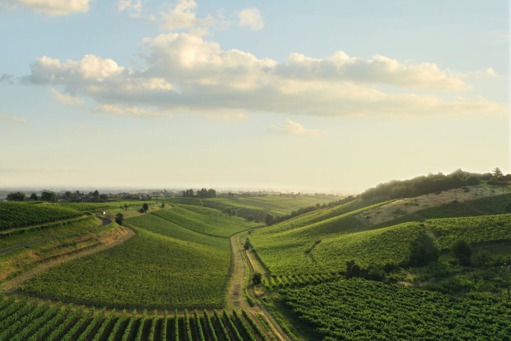 colli piacentini