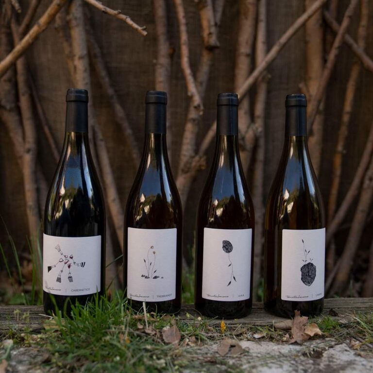 Vini Tenuta Saiano