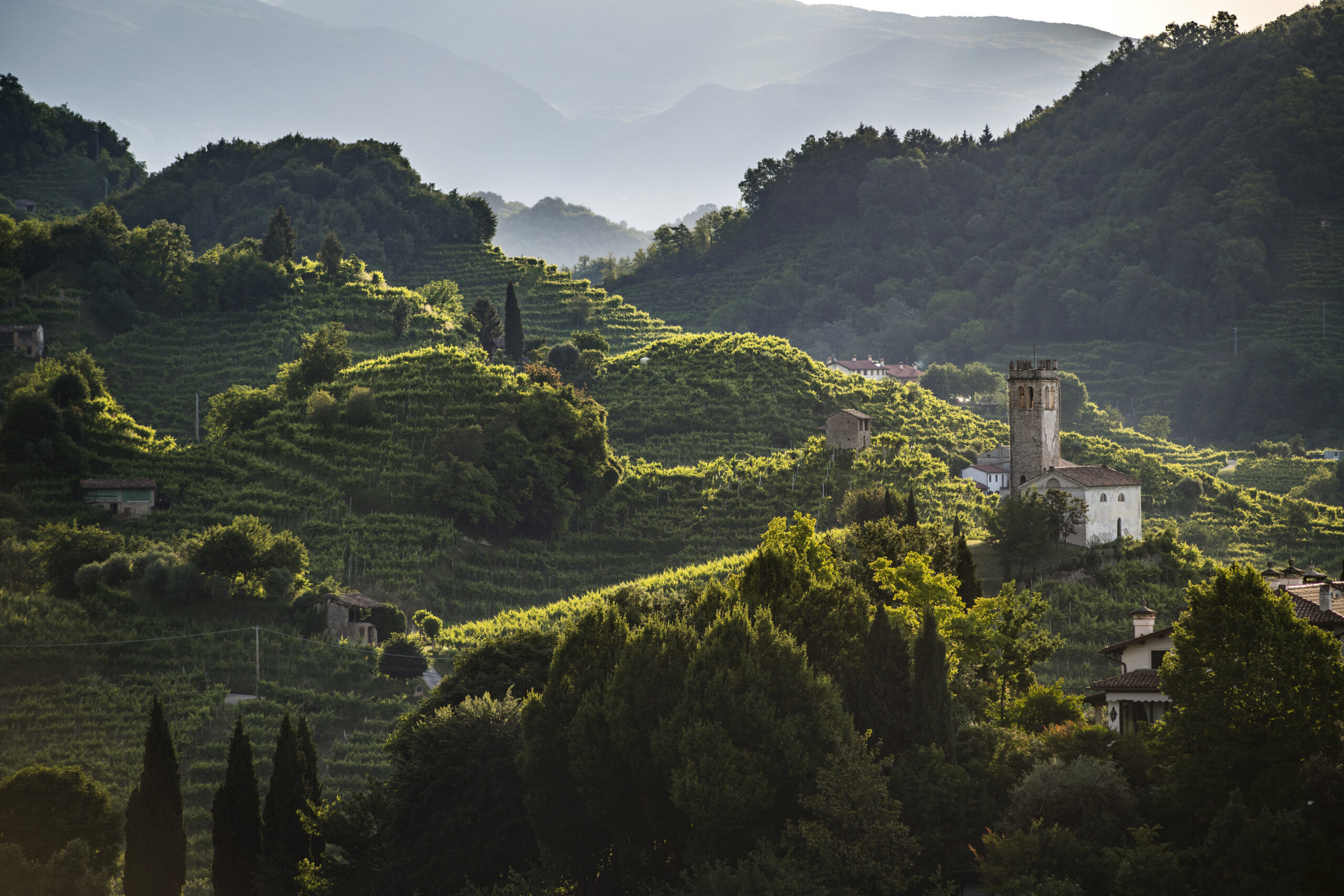 Le colline del Conegliano Valdobbiadene Prosecco riconosciute Patrimonio Unesco_photo credits Arcangelo Piai