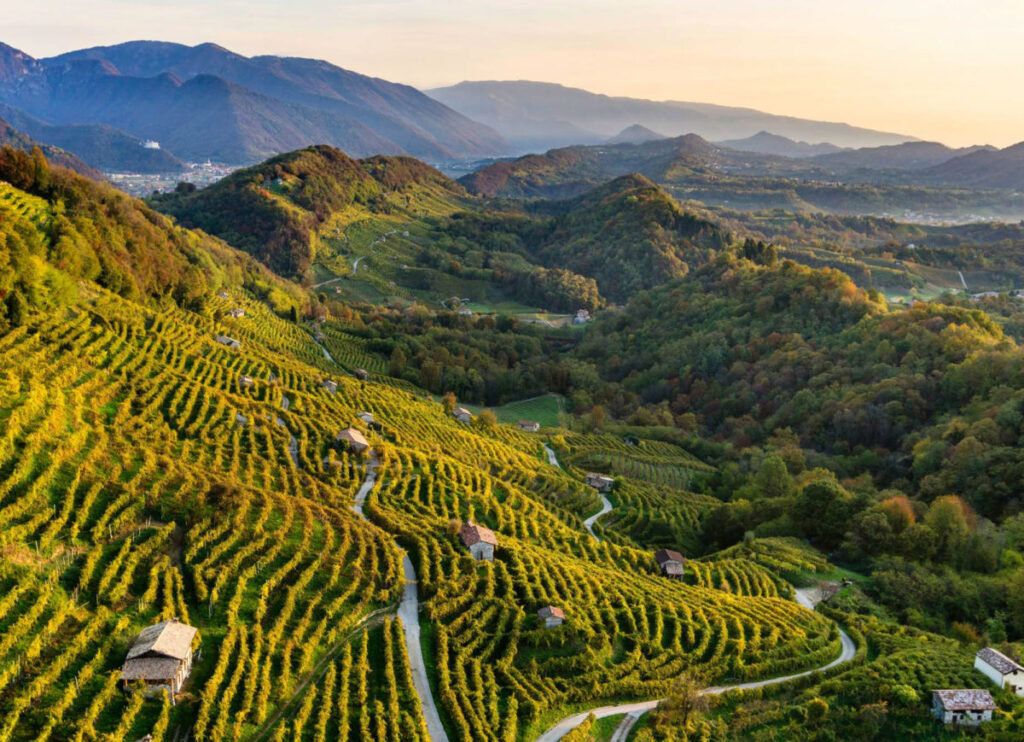 colline-conegliano-valdobbiadene-1200x869