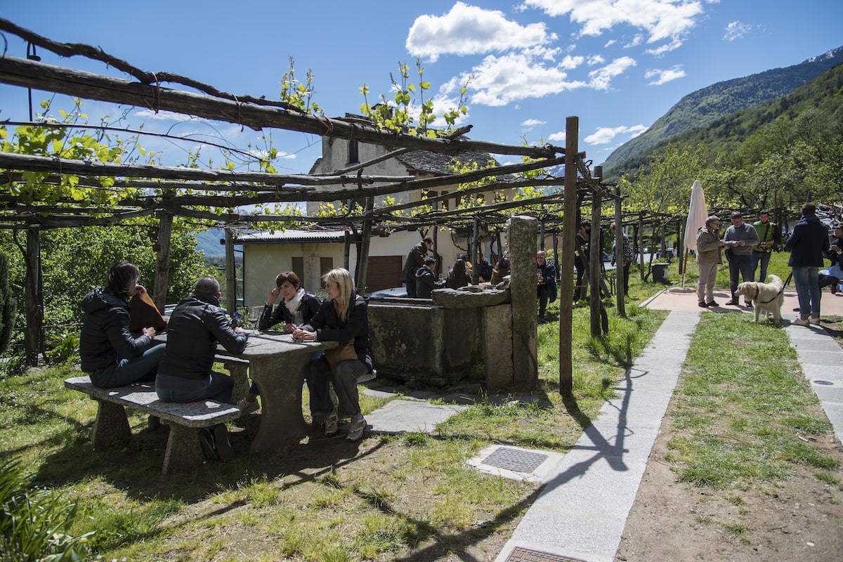 Ossola-in-Cantina-ph.-Simone-Cappelli-106