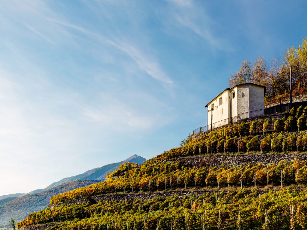 Valtellina 1(1)