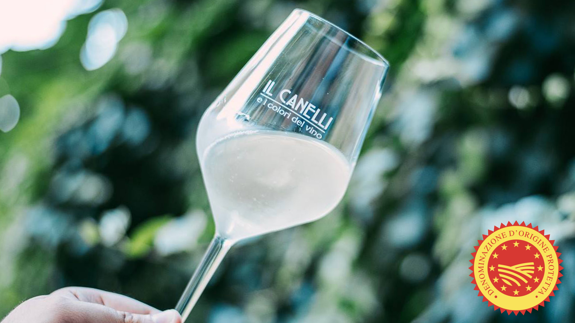 Canelli DOP
