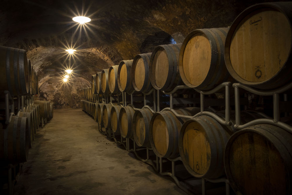 Azienda Agricola Salvetta