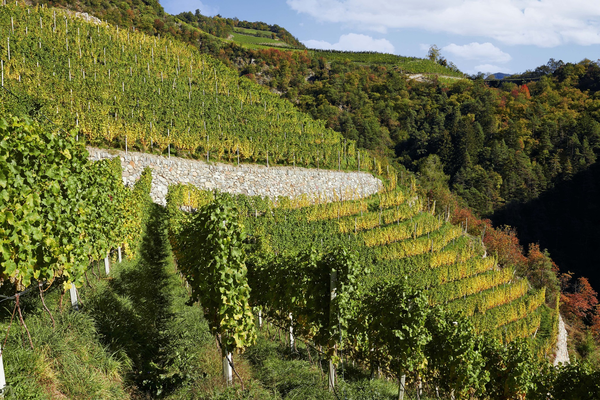 Kellerei Eisacktal - Cantina Valle Isarco