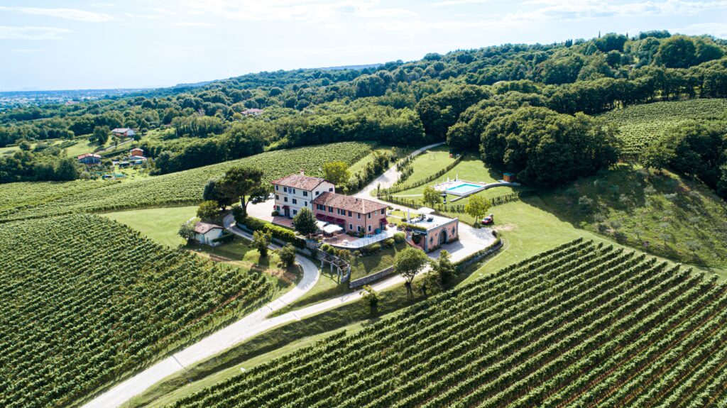 Giusti Wine