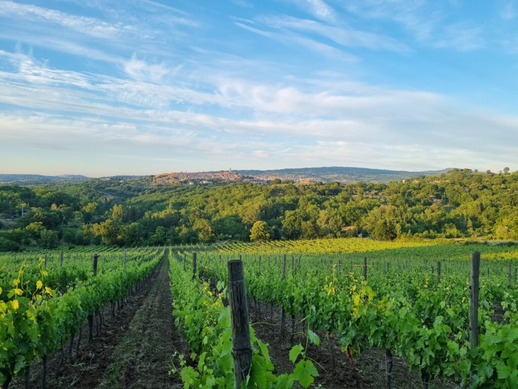 Irpinia