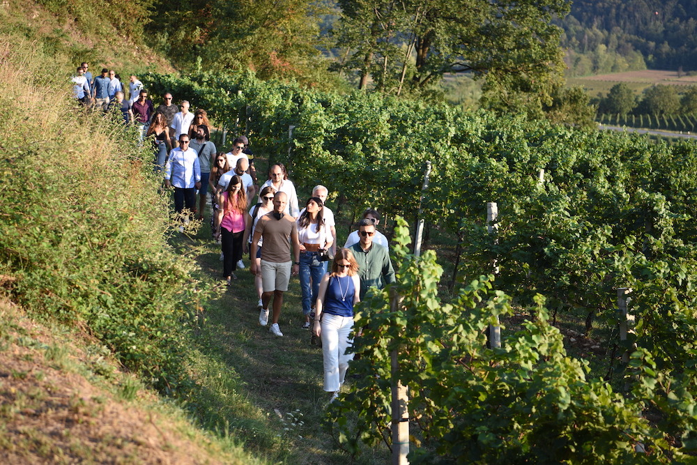 Villa Franciacorta, visita ai vigneti