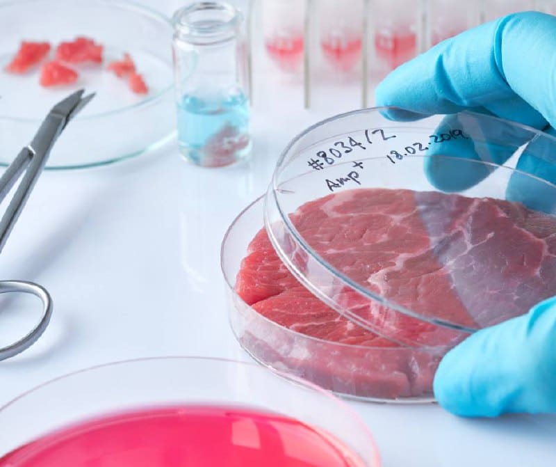 Carne coltivata etichetta