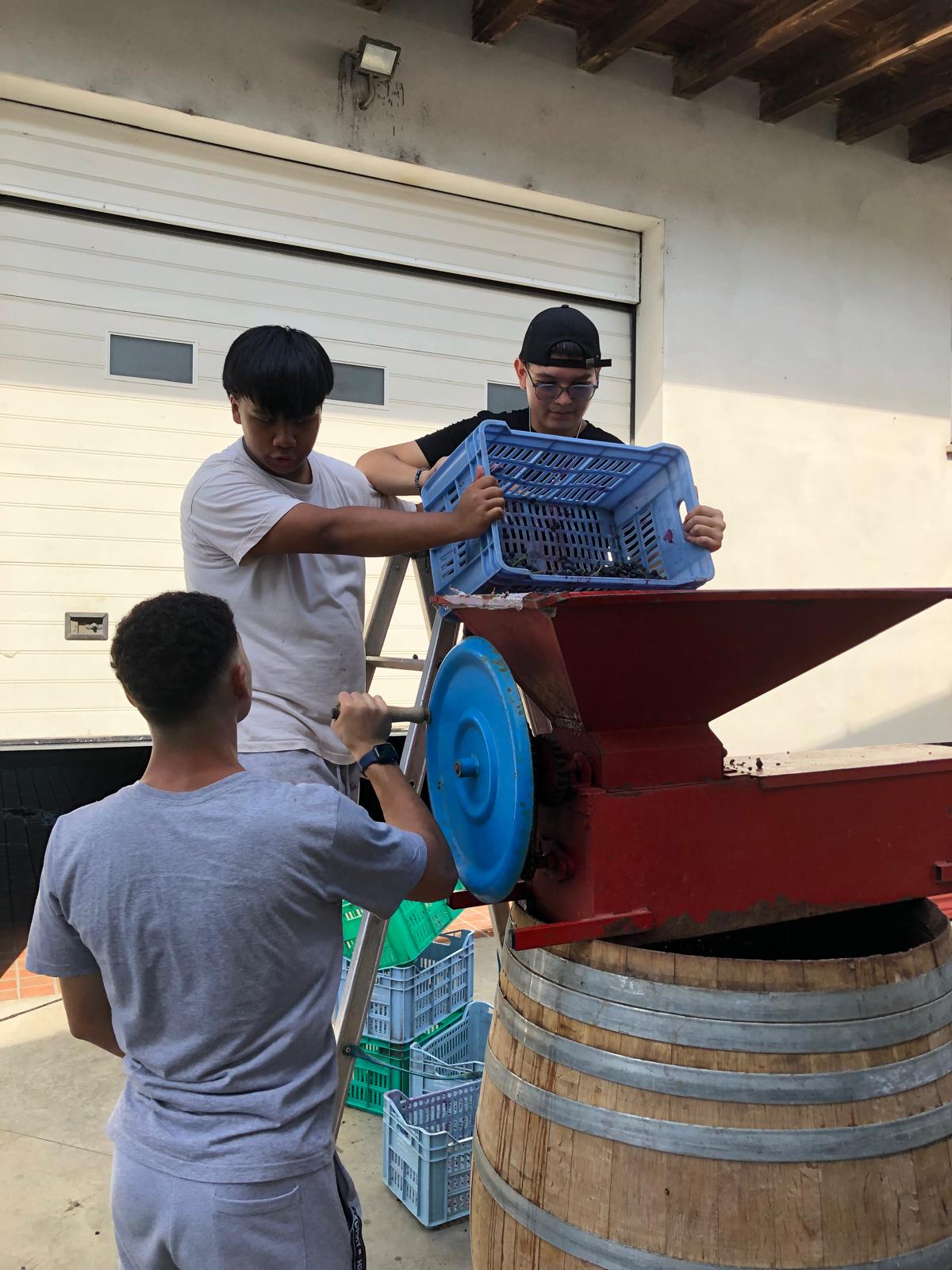 Immagine WhatsApp 2025-11-19 ore 08.27.15_2a838a3c