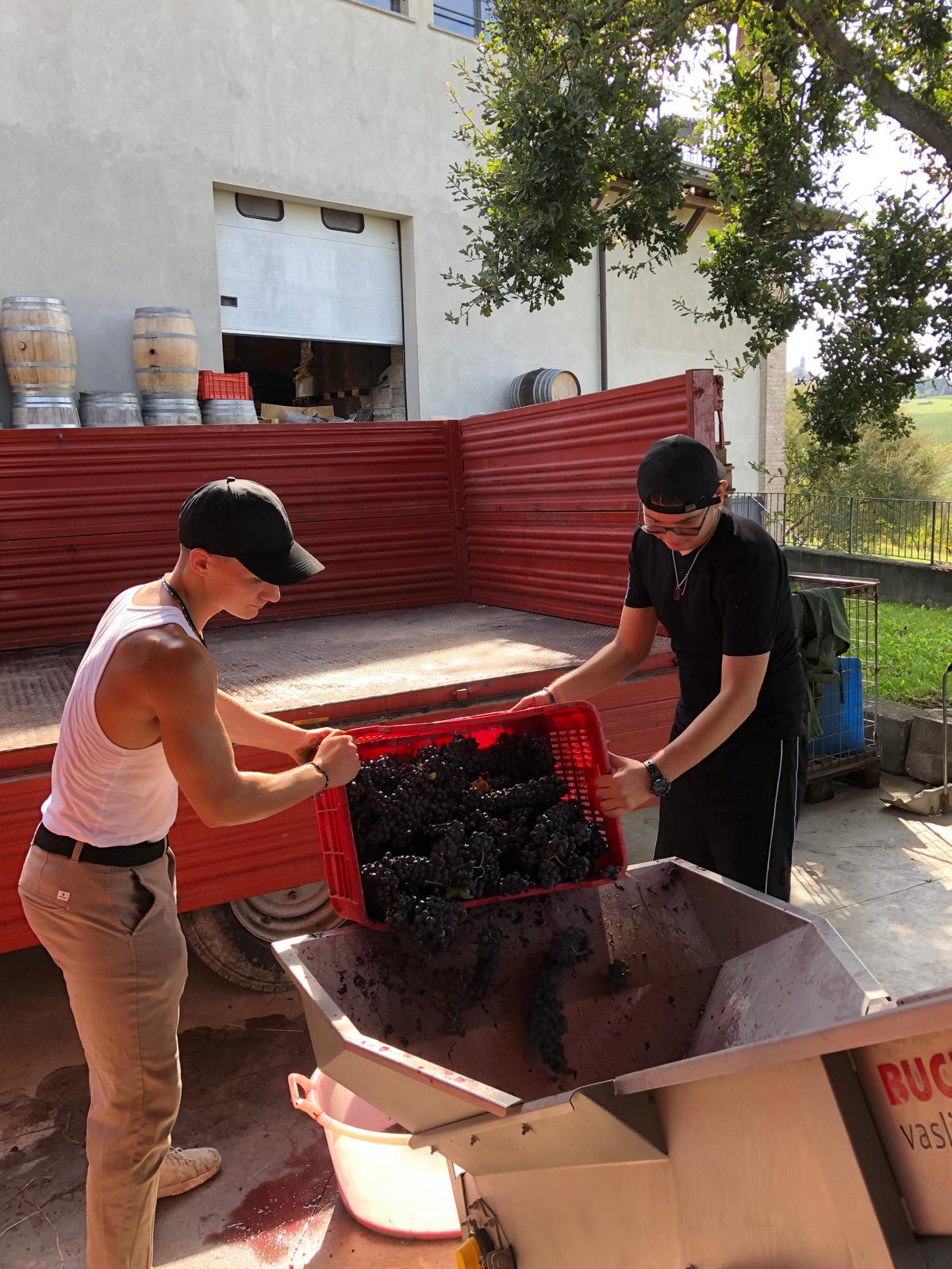 Immagine WhatsApp 2025-11-19 ore 08.27.15_e8bebba4